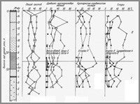Рис. 44. Спорово-пыльцевая диаграмма конергинских слоев с р. Игельхвээм.