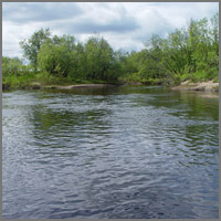 устье реки Лохома